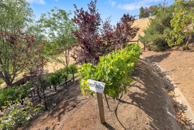 6336 Skywalker Drive, San Jose CA: https://media.crmls.org/mediaz/eadd2100-12d7-4b7a-8225-31a02c2aa837.jpg