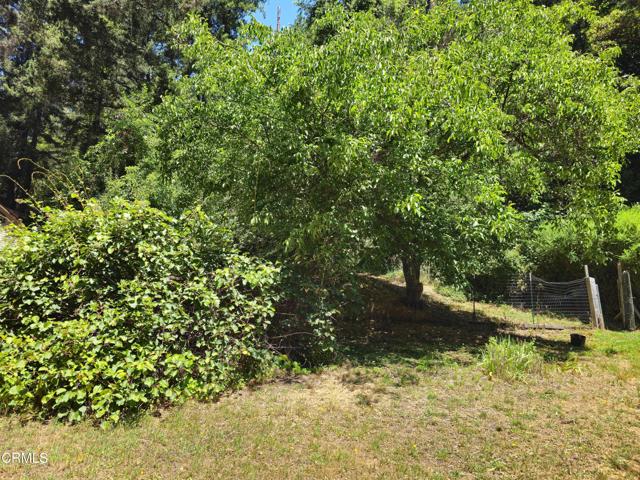 Detail Gallery Image 8 of 23 For 65235 Hwy 271, Leggett,  CA 95585 - 4 Beds | 2 Baths