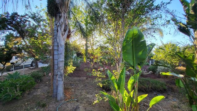 157 Los Banditos, Ramona, California 92065, 3 Bedrooms Bedrooms, ,2 BathroomsBathrooms,Single Family Residence,For Sale,Los Banditos,240023123SD