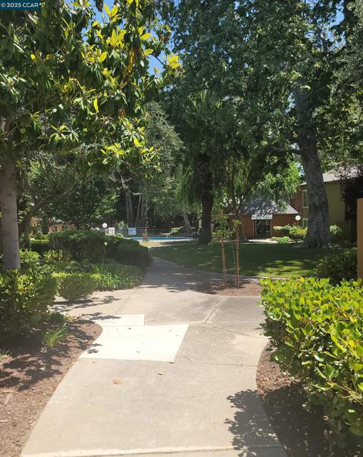 810 Oak Grove Rd, Concord CA: https://media.crmls.org/mediaz/eae66b42-c834-4bc7-86da-c1aa0b5a821b.jpg