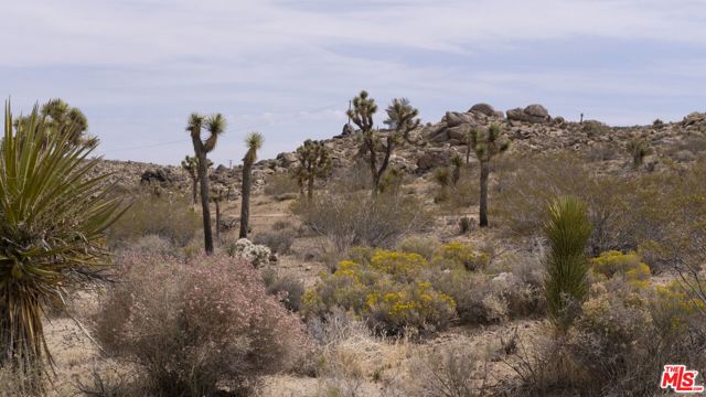 2339 Inca Trail, Yucca Valley CA: https://media.crmls.org/mediaz/eae7f108-6423-4893-8fde-f0e33d18068a.jpg
