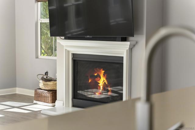 Gas fireplace