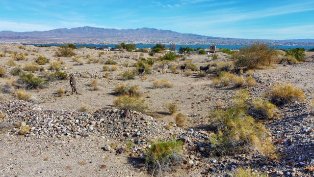 Image 54 of 83 For 12600 Havasu Lake Road