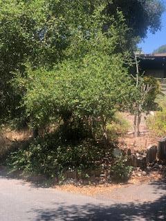 17580 Pond Derosa Lane, Prunedale CA: https://media.crmls.org/mediaz/eaf5310c-b2d4-44f4-85c6-1af4758ab326.jpg