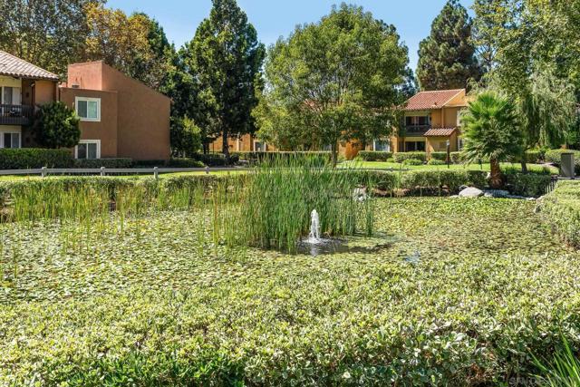 17141 W Bernardo Dr., San Diego CA: https://media.crmls.org/mediaz/eaf55f1c-3251-45ed-8263-ced9c1106d5a.jpg