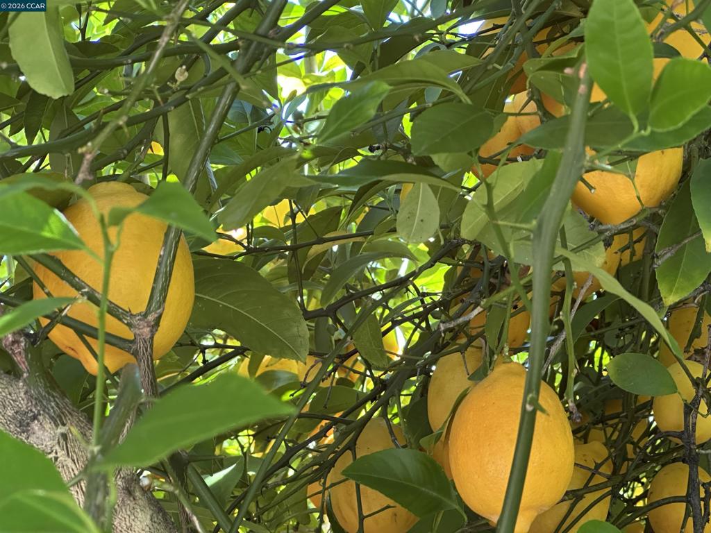 https://media.crmls.org/mediaz/eaf870e8-82e7-4a50-a783-353887a6c545.jpg?preset=X-Large