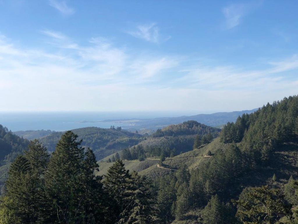 MLS #ML81979482 image #30