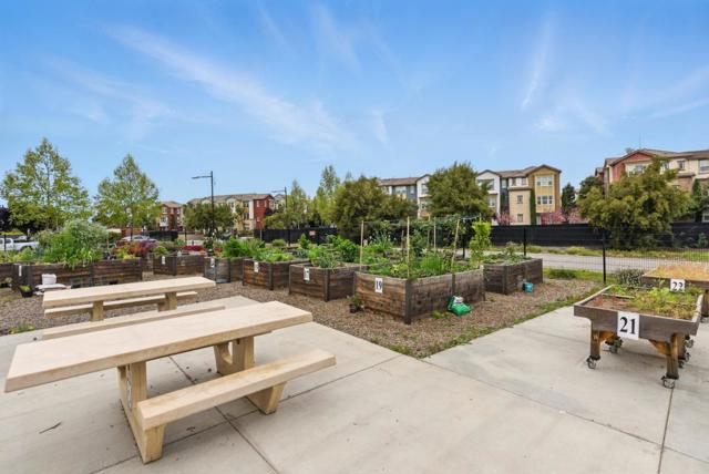 528 Odyssey Lane, Milpitas CA: https://media.crmls.org/mediaz/eafb2045-bc73-4408-89e8-b016f8318026.jpg