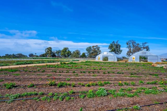 1216 Molara Ln, Encinitas CA: https://media.crmls.org/mediaz/eb07c579-de5f-473b-a641-59ae8d5d3ac5.jpg