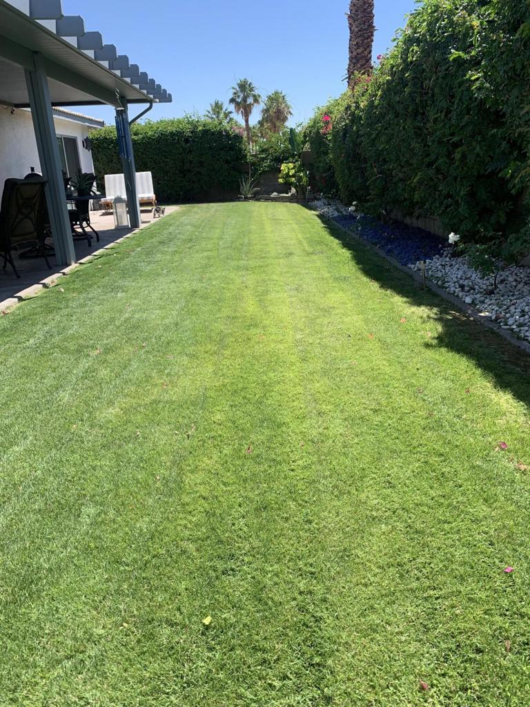 MLS #219139581DA image #10