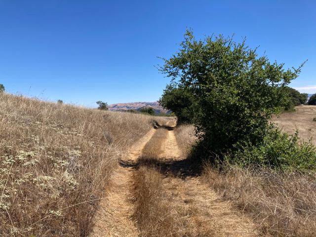 0 Ranch, Carmel Valley Road, Carmel CA: https://media.crmls.org/mediaz/eb1932eb-f69f-4c74-b249-fb9c752e9998.jpg