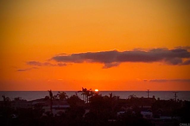 Detail Gallery Image 44 of 51 For 289 Hygeia Ct, Encinitas,  CA 92024 - 3 Beds | 2 Baths