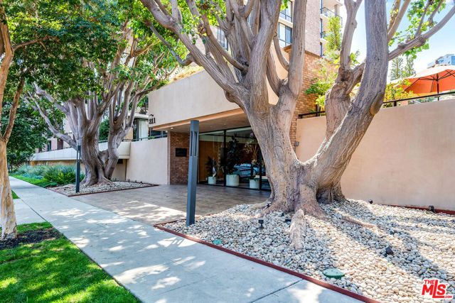 211 S Spalding Drive, Beverly Hills CA: https://media.crmls.org/mediaz/eb23f960-b1fb-442d-9ac1-f110a2212cab.jpg