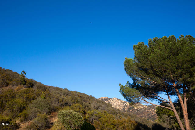 Drew Fenton | 548 Live Oak Circle Drive Calabasas CA | MLS: 7311112