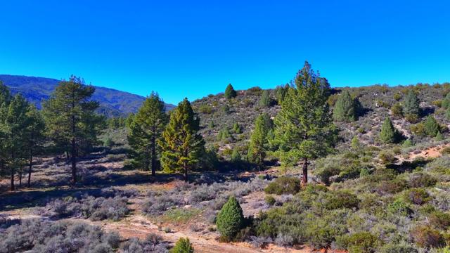 Details for 1 Butterfly Peak Road, Mountain Center, CA 92561
