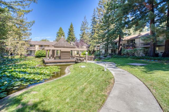 505 Cypress Point Drive, Mountain View CA: https://media.crmls.org/mediaz/eb448d2a-cb8f-4f66-9191-34f83013f08f.jpg