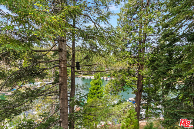 161 Rocky Point Road, Lake Arrowhead CA: https://media.crmls.org/mediaz/eb47e752-493f-4c27-9467-e11863a99bc2.jpg