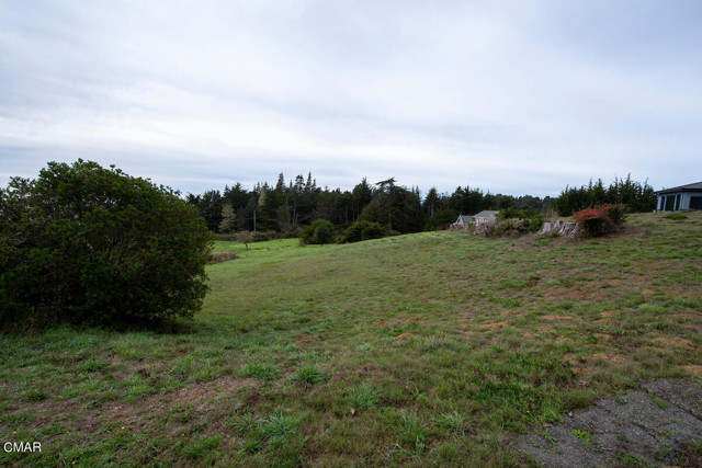 Detail Gallery Image 13 of 14 For 44821 Baywood Dr, Mendocino,  CA 95460 - – Beds | – Baths