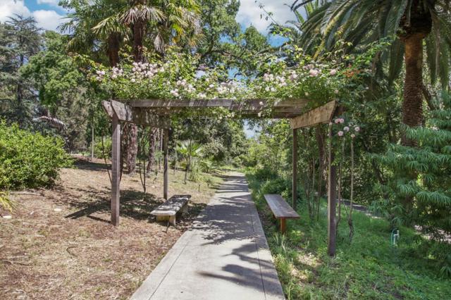 13056 Brandywine Drive, Saratoga CA: https://media.crmls.org/mediaz/eb4d4572-804f-40a4-826c-bfecc76ff79b.jpg