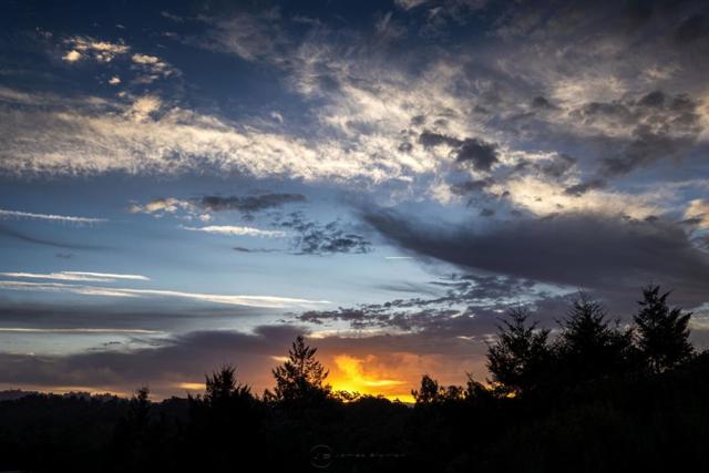 645 Skyward Drive, Aptos CA: https://media.crmls.org/mediaz/eb501a3f-a105-4f88-9e0a-0dcbd69078c3.jpg