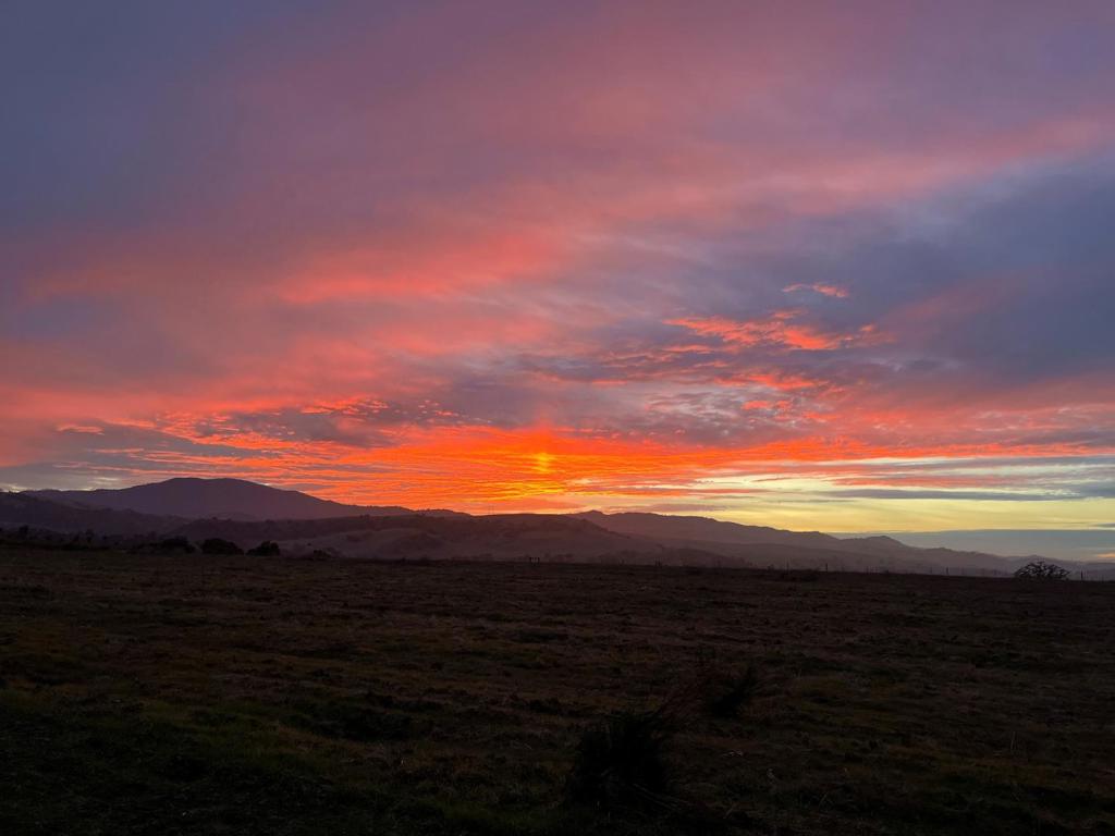 https://media.crmls.org/mediaz/eb583507-5678-4601-a5b5-f041f7e46279.jpg?preset=X-Large