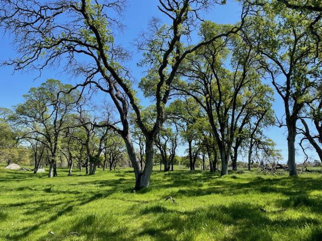 0 Cardwell Avenue, Orangevale CA: https://media.crmls.org/mediaz/eb5a53ba-fbb6-4d85-b8df-8efb97fc8e58.jpg