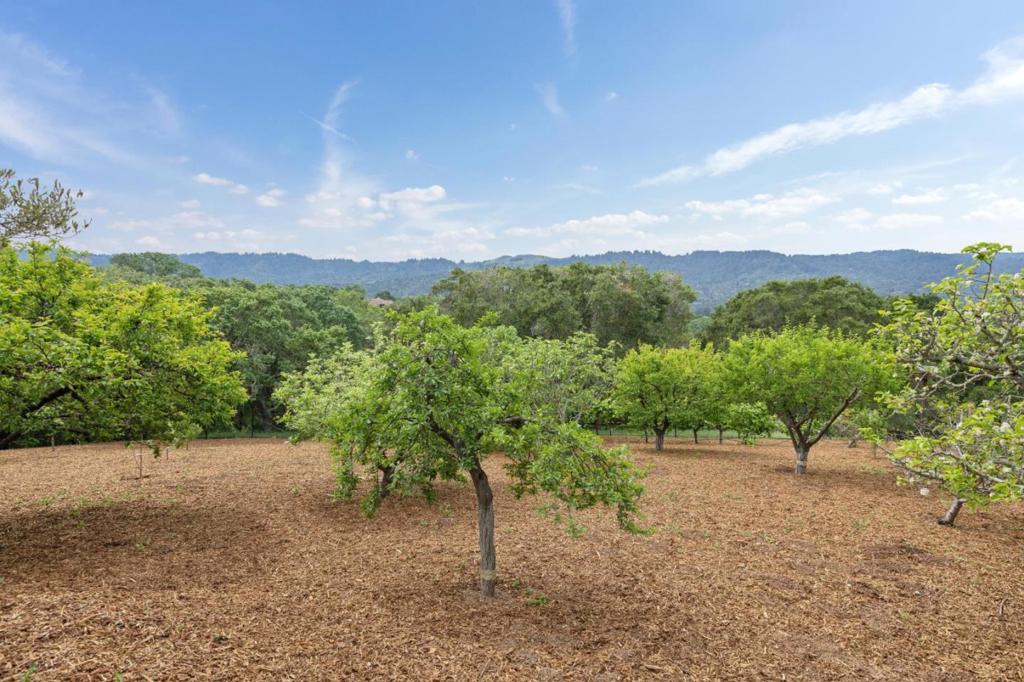 https://media.crmls.org/mediaz/eb5d46fb-12d4-4946-99b6-67c9539074cb.jpg?preset=X-Large