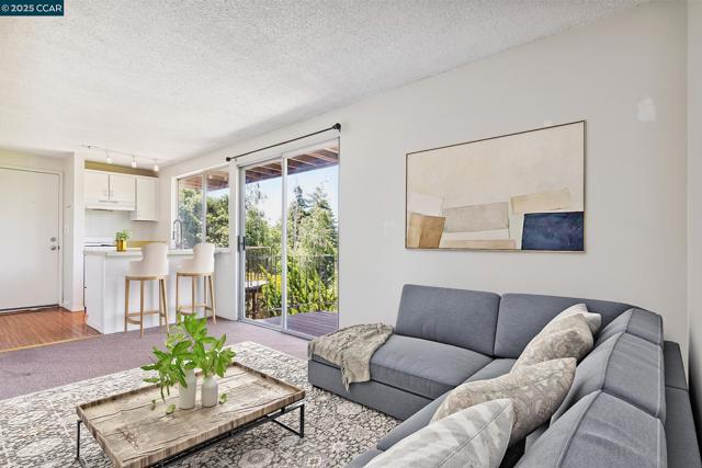 51 Rincon Rd, Kensington CA: https://media.crmls.org/mediaz/eb6d9b4a-0fc2-4d8a-8842-63d8f613427d.jpg