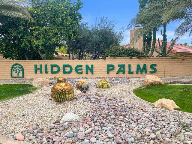 HiddenPalms#2