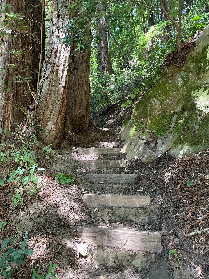 MLS #ML81979482 image #18