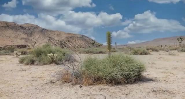 55455 Pipes Canyon, Pioneertown CA: https://media.crmls.org/mediaz/eb7ef709-6ed5-4919-824d-aa612913c0b0.jpg