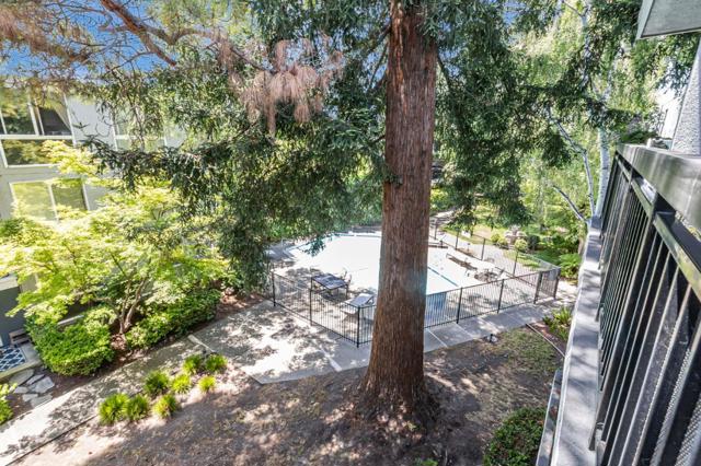 181 Del Medio Avenue, Mountain View CA: https://media.crmls.org/mediaz/eb84949e-cca4-4b6e-8ef8-f73751bcb2e5.jpg