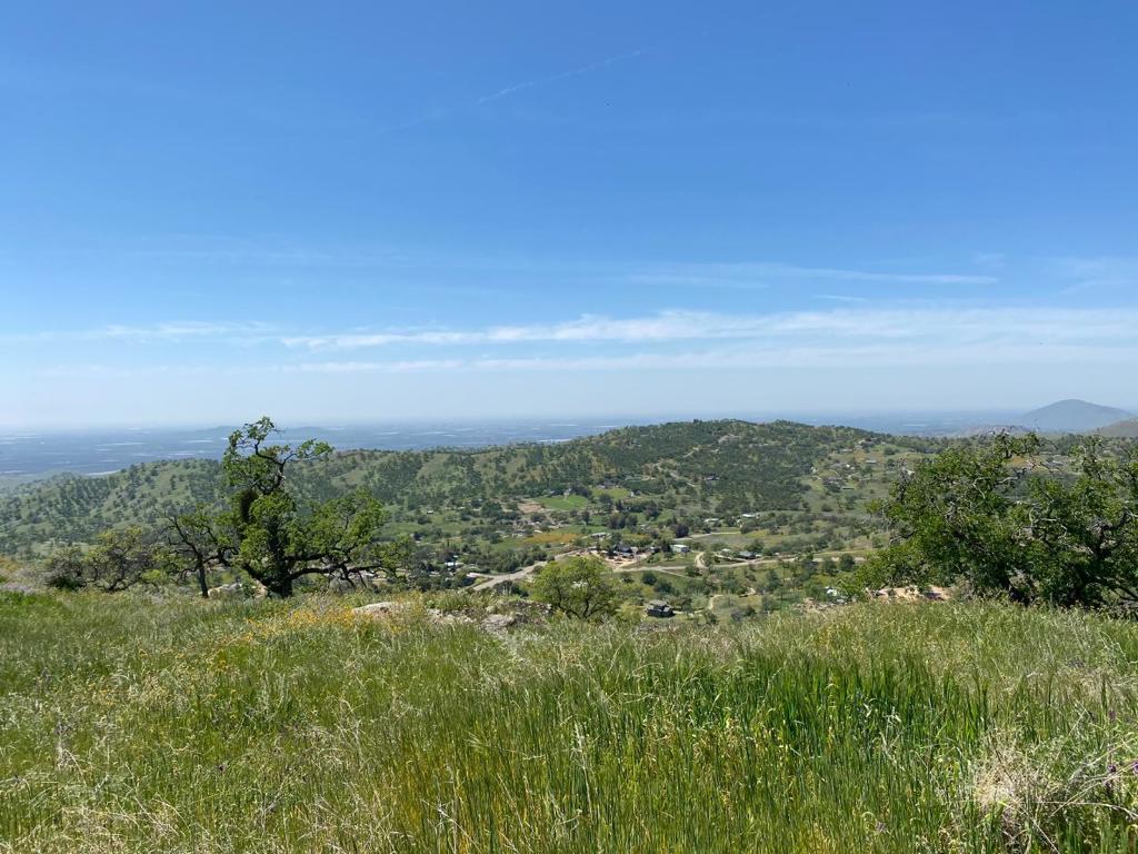0 Lot 295, Squaw Valley, CA 93675