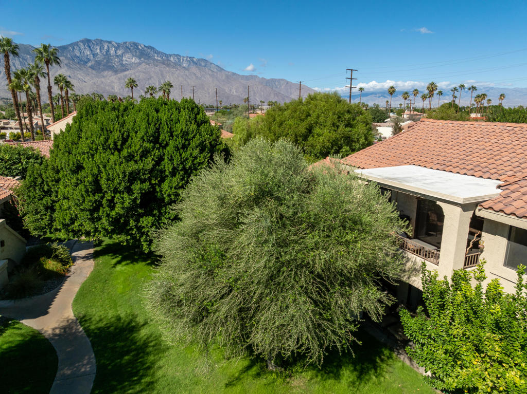 MLS #219137172DA image #29