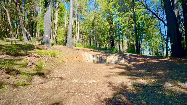 80 Conifer Lane, Santa Cruz CA: https://media.crmls.org/mediaz/eb8f22d0-8c3f-4a8f-a2a8-ff417c7913a4.jpg