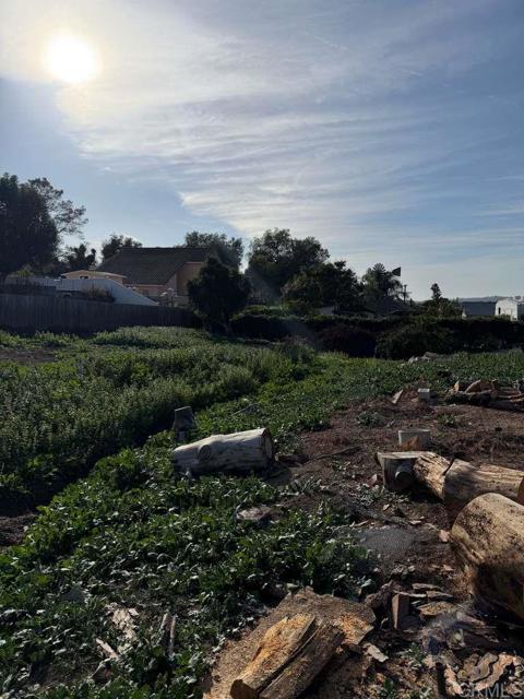 Detail Gallery Image 40 of 42 For 3536 Ybarra Rd, Spring Valley,  CA 91978 - 3 Beds | 2 Baths