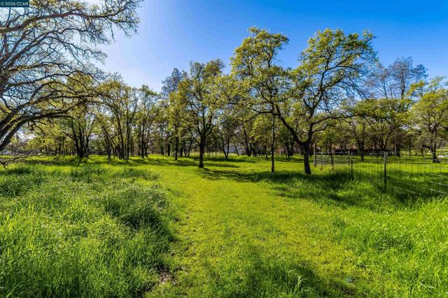 125 Sam Lynn Way, Oroville CA: https://media.crmls.org/mediaz/eba0eca8-e76b-4c07-b768-3b375a4f1048.jpg