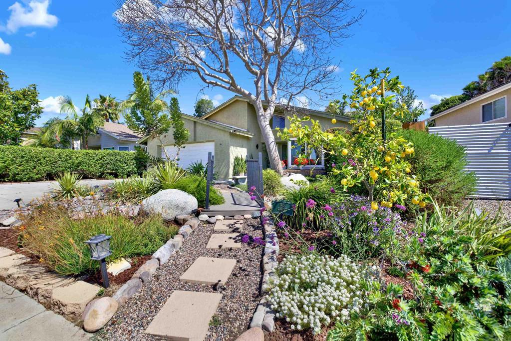 1649 Boulder Creek Road - photo 6