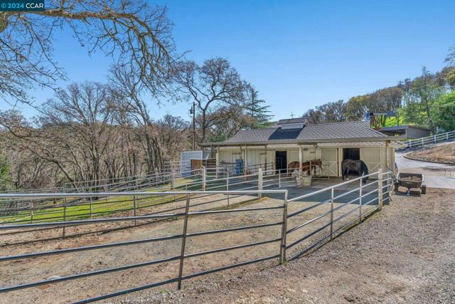 Image 45 of 60 For 1980 Curry Canyon Rd