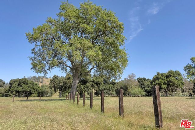 770 Limekiln Road, Hollister CA: https://media.crmls.org/mediaz/ebab547c-5067-4d89-8b1c-fb582d6d7330.jpg