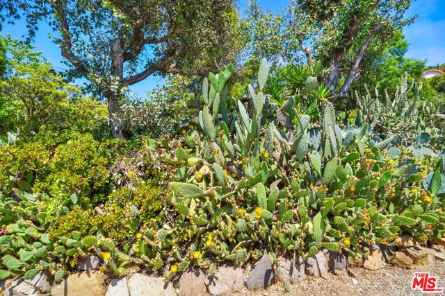 Drew Fenton | 190 Loma Metisse Road Malibu CA | MLS: 7251668