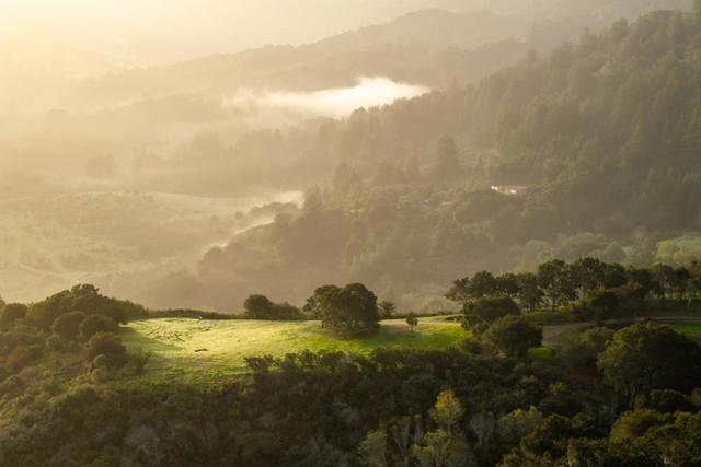 17 Rancho San Carlos Road (Lot 4), Carmel CA: https://media.crmls.org/mediaz/ebb3c9e8-23f5-4f2e-a4e9-971e4d8a83db.jpg