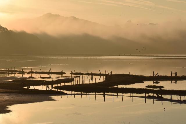 Image 22 of 23 For 967 Salinas Road