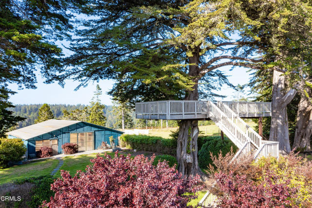 Detail Gallery Image 17 of 36 For 32550 Navarro Ridge Rd, Albion,  CA 95410 - – Beds | – Baths