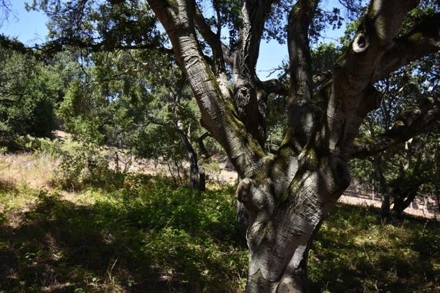 0 Alexander Lane, San Juan Bautista CA: https://media.crmls.org/mediaz/ebda18ac-e620-40eb-b74c-e4458180f1e3.jpg