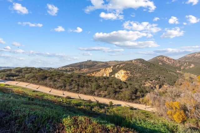 1664 Sagewood Way, San Marcos CA: https://media.crmls.org/mediaz/ebf02fbb-e242-4dcb-ae36-9fd61523312b.jpg