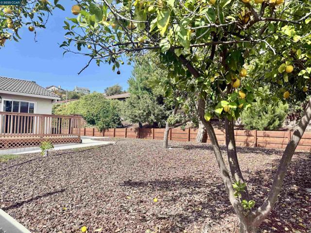 148 Lancaster Way, Vallejo CA: https://media.crmls.org/mediaz/ebf2905f-73d1-4f90-8c1e-25652717d2e3.jpg