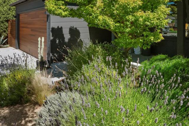 137 30th Avenue, San Mateo CA: https://media.crmls.org/mediaz/ebf44a95-f04b-4567-876e-68073445cd41.jpg