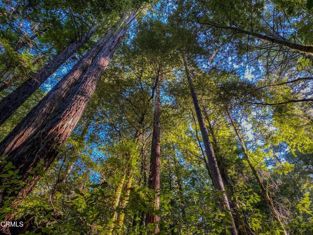0 Irmulco Road, Willits CA: https://media.crmls.org/mediaz/ebf74dd3-cf5f-44df-9256-f9db44302d09.jpg