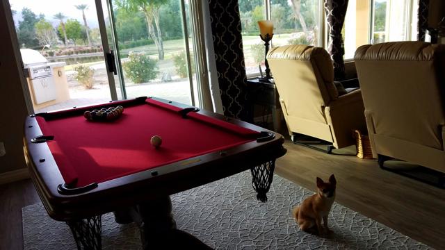 60553 Juniper Lane, La Quinta CA: https://media.crmls.org/mediaz/ec00d30e-e743-4245-9e76-22054ea7b776.jpg
